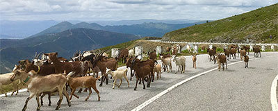 Landschaft und Kultur im Norden Portugals erleben
