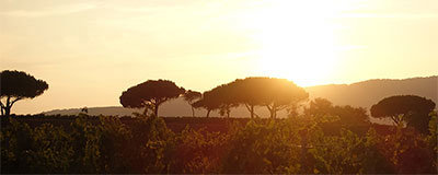 Die Côte d’Azur mit ihrem ganzen Charme verzaubert uns immer wieder