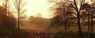 Herbstferien in Deutschland – mit Abstand, Natur und Kultur