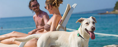 Top 5 hundefreundliche Campingplätze in Kroatien