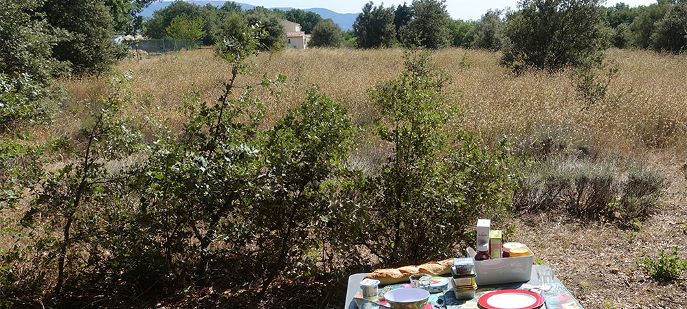 Bonjour Dr&ocirc;me!