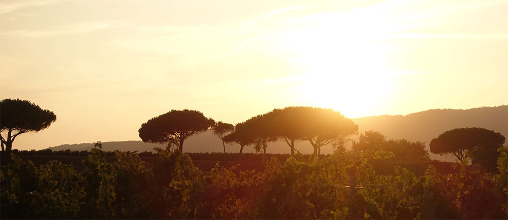 Die Franz&ouml;sische Riviera lockt 