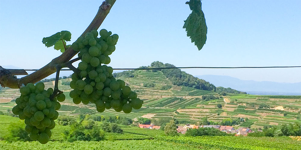 Go Glamping in Deutschland