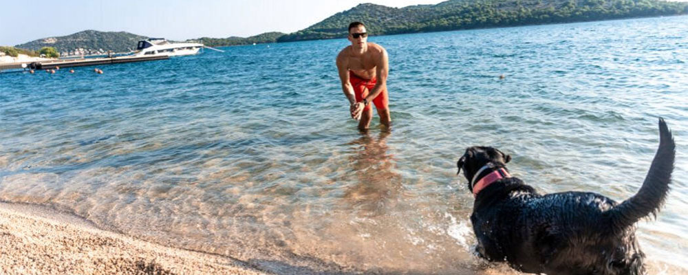 strand hund olivia green mit hund olivia green