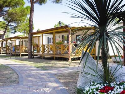 Thumbnail 4 van Vela Blu