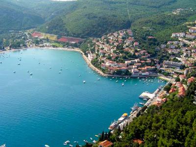 Thumbnail 5 van Oliva