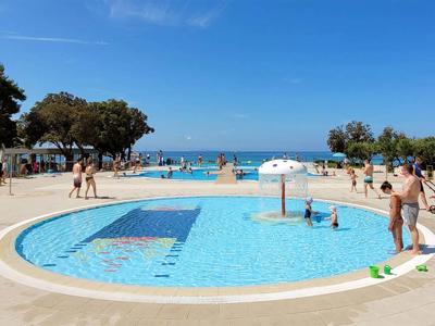 Thumbnail 2 van Straško