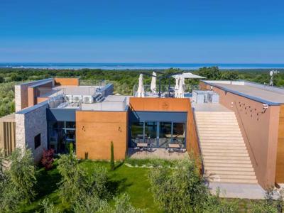 Thumbnail 5 van Papafigo