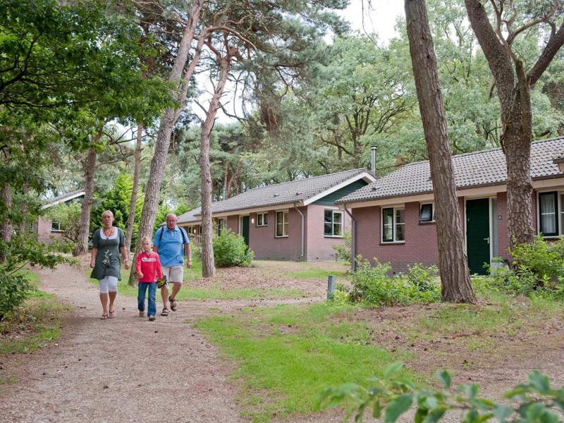 Hoofdfoto van Landal Park de Peel