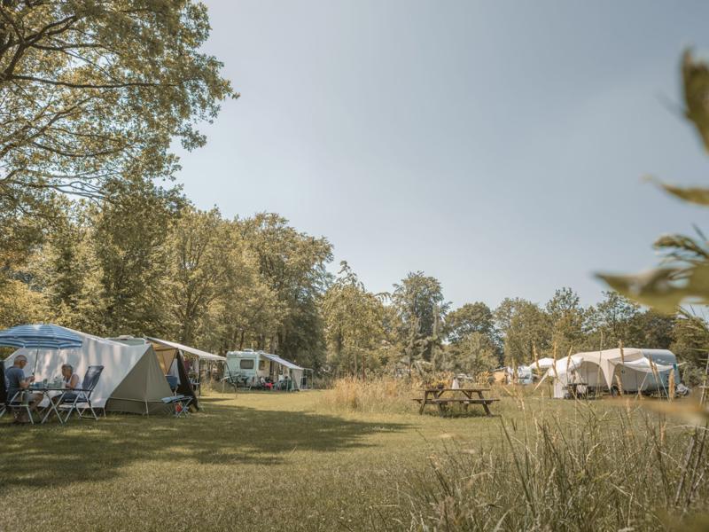 Hoofdfoto van De Lemeler Esch