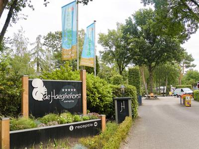 Thumbnail 3 van Haeghehorst