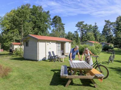 Thumbnail 5 van RCN de Roggeberg