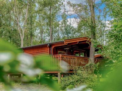 Thumbnail 2 van Landal Kenwick Woods