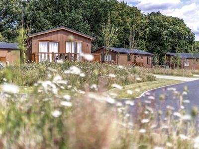 Thumbnail 2 van Landal Rockingham Forest