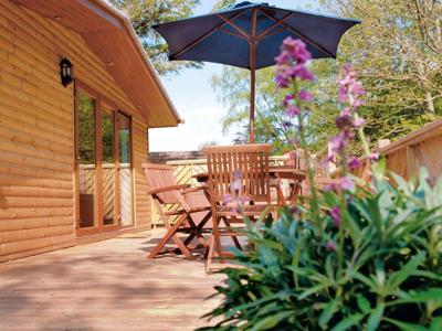 Thumbnail 3 van Landal Leycroft Valley