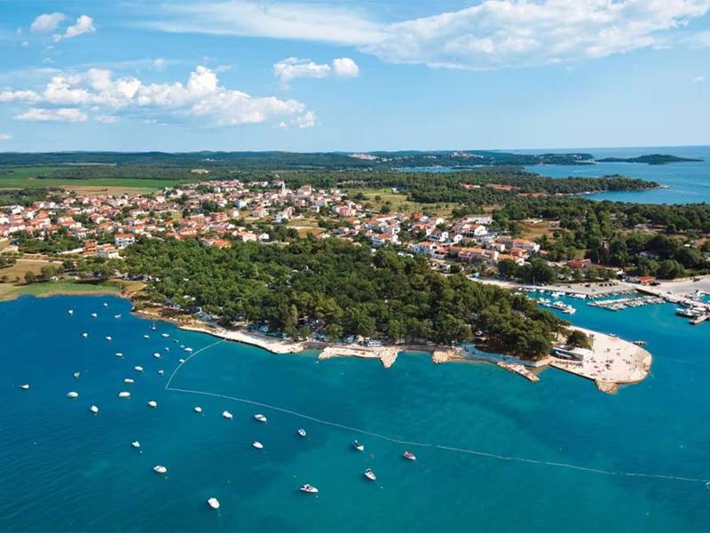 Hoofdfoto van Puntica