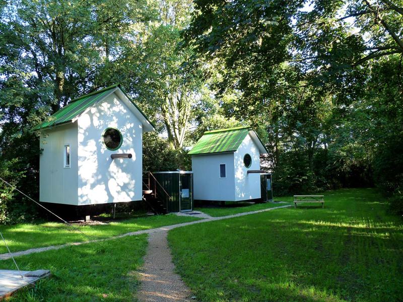 Foto van De Vreemde Vogel