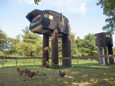 Thumbnail 2 van De Vreemde Vogel