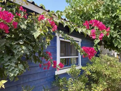 Thumbnail 3 van Holacamp Chilches