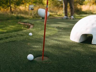 Thumbnail 4 van Landal Angrove