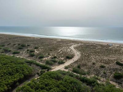 Thumbnail 3 van Le Truc Vert