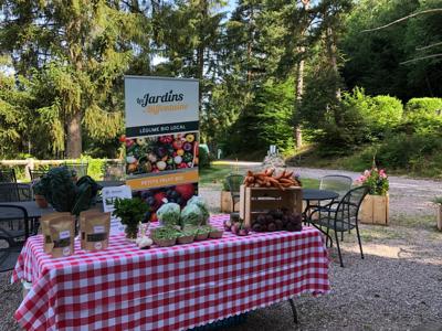 Thumbnail 4 van Camping Du Château