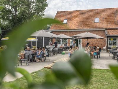 Thumbnail 2 van International