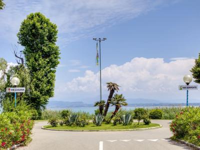 Thumbnail 5 van Tiglio