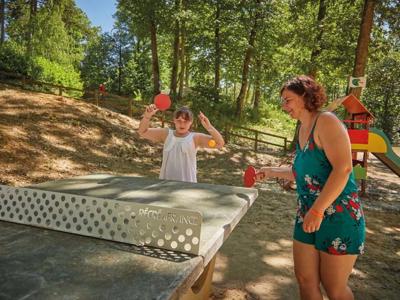 Thumbnail 5 van Parc Des Roches