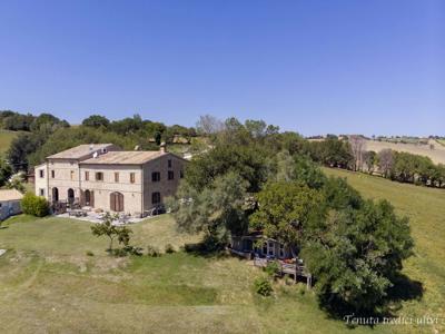 Thumbnail 3 van Tenuta Tredici Ulivi