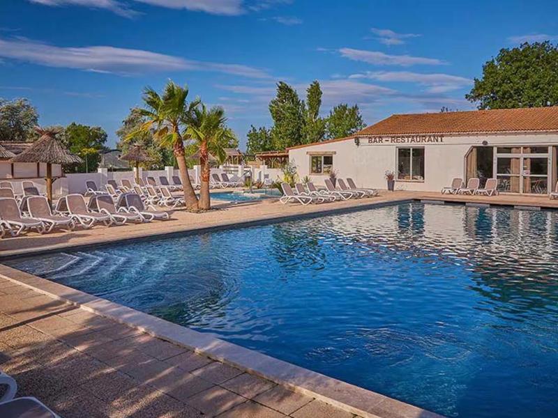 Hoofdfoto van Crin Blanc