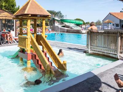 Thumbnail 5 van Signol