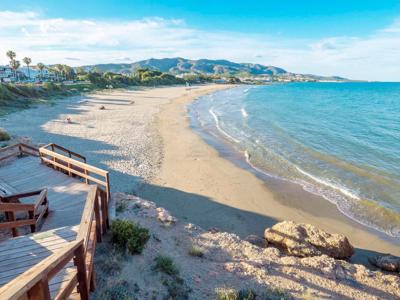 Thumbnail 4 van Playa Tropicana