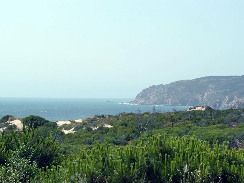 Foto van Orbitur Guincho