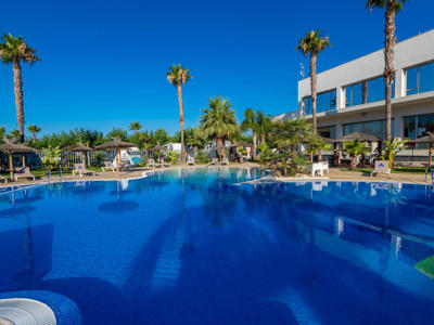 Thumbnail 2 van Almafra