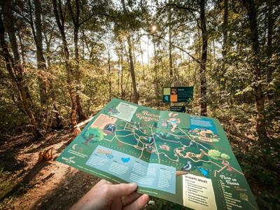 Thumbnail 4 van De Beerze Bulten