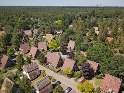 Thumbnail 3 van De Katjeskelder