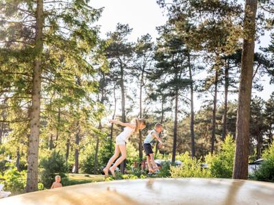 Thumbnail 5 van Diana Heide