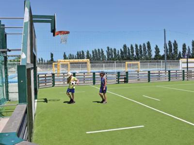 Thumbnail 5 van Hippocampe