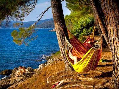 Thumbnail 3 van Bijar