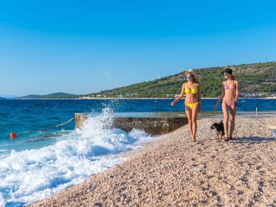 Thumbnail 5 van Adriatic