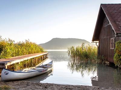 Thumbnail 5 van Poglitsch