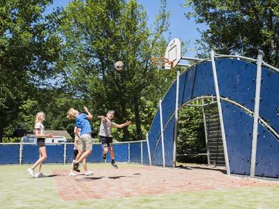 Thumbnail 5 van Vreehorst