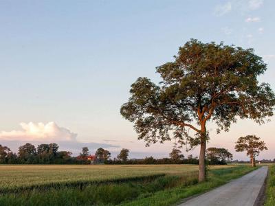 Thumbnail 3 van BoerenBed Hoeve Zeeland