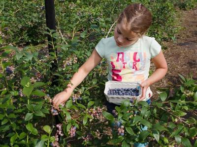 Thumbnail 3 van BoerenBed De Zeekraal