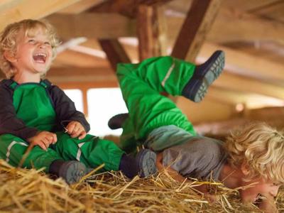 Thumbnail 4 van BoerenBed Hilserhof