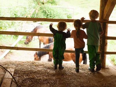 Thumbnail 5 van BoerenBed Hilserhof