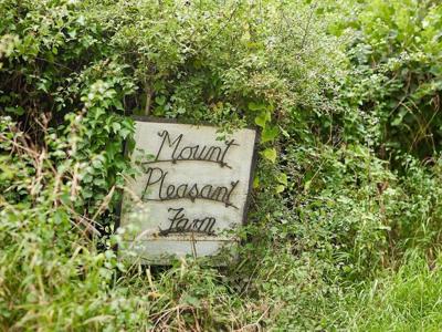 Thumbnail 5 van BoerenBed Mount Pleasant Farm