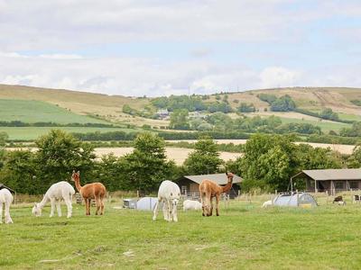 Thumbnail 2 van BoerenBed East Shilvinghampton Farm