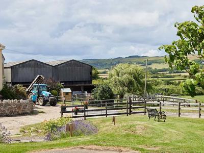 Thumbnail 4 van BoerenBed East Shilvinghampton Farm